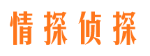 枫溪市婚外情调查